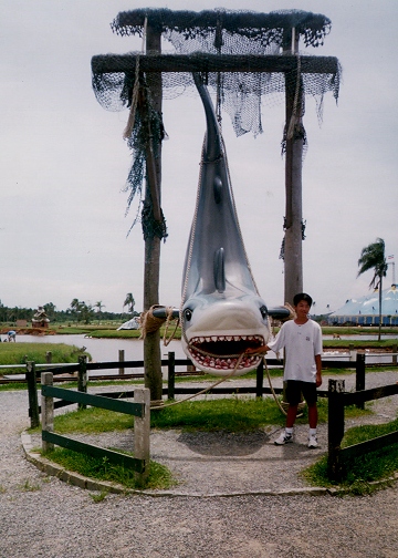 Shark01.jpg (134043 bytes)