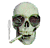 ph.gif (9588 bytes)